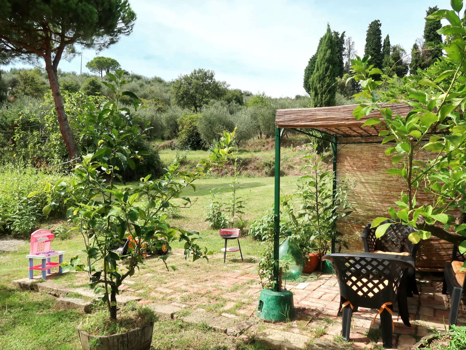 Podere Casina-Buiten