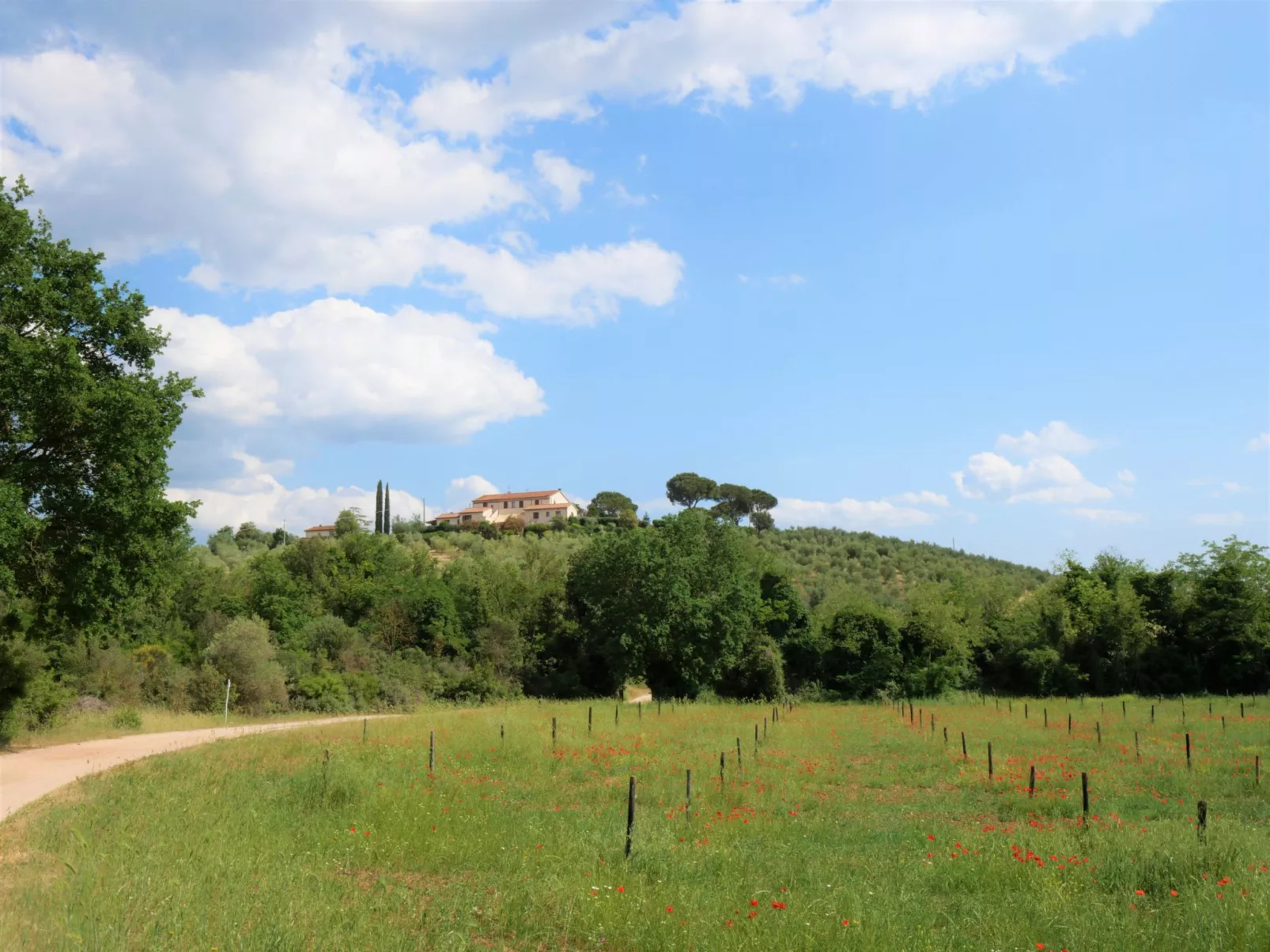 Cellina - Baia degli Ulivi-Buiten