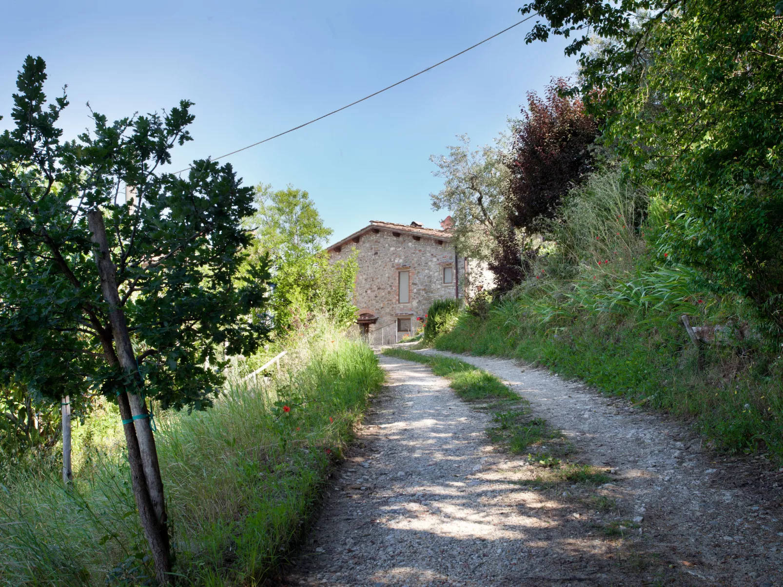 Policleto-Buiten