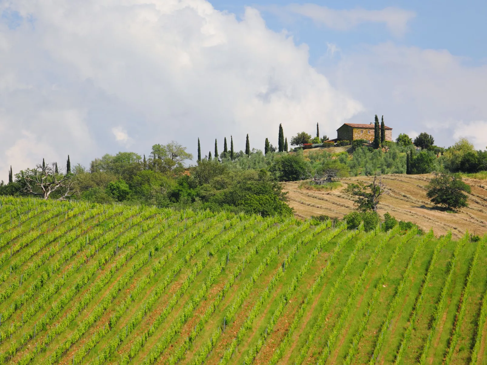 Casa dell'Orto-Buiten