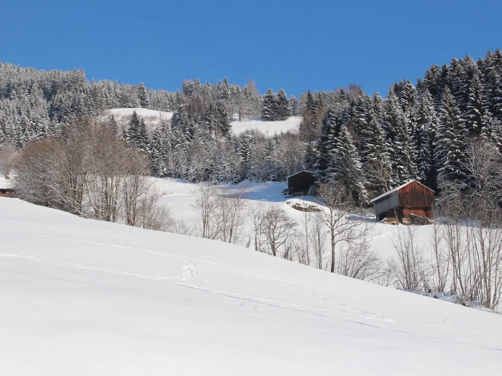 Hochzillertalblick-Buiten