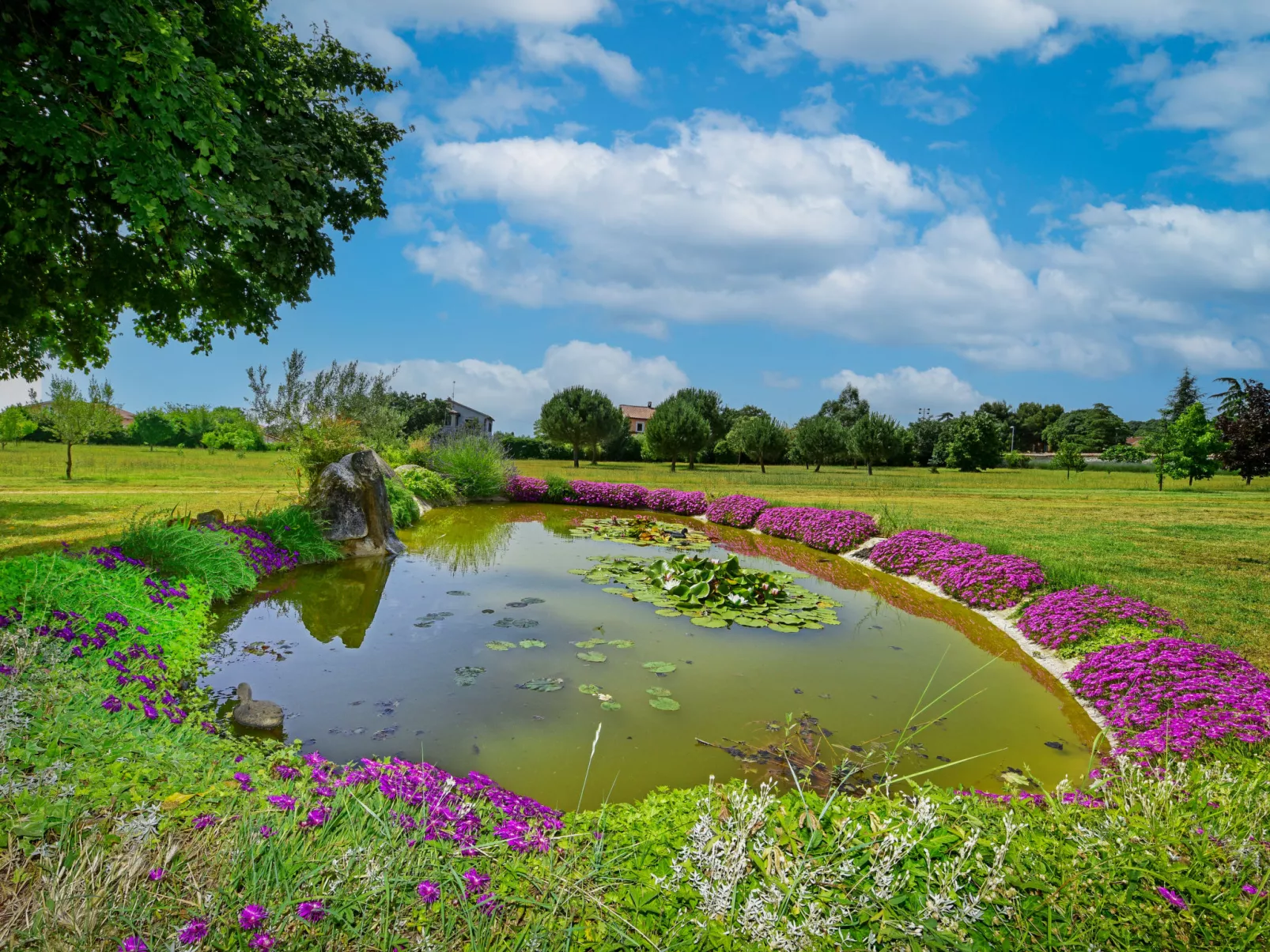 Hibiskus (KST146)-Buiten