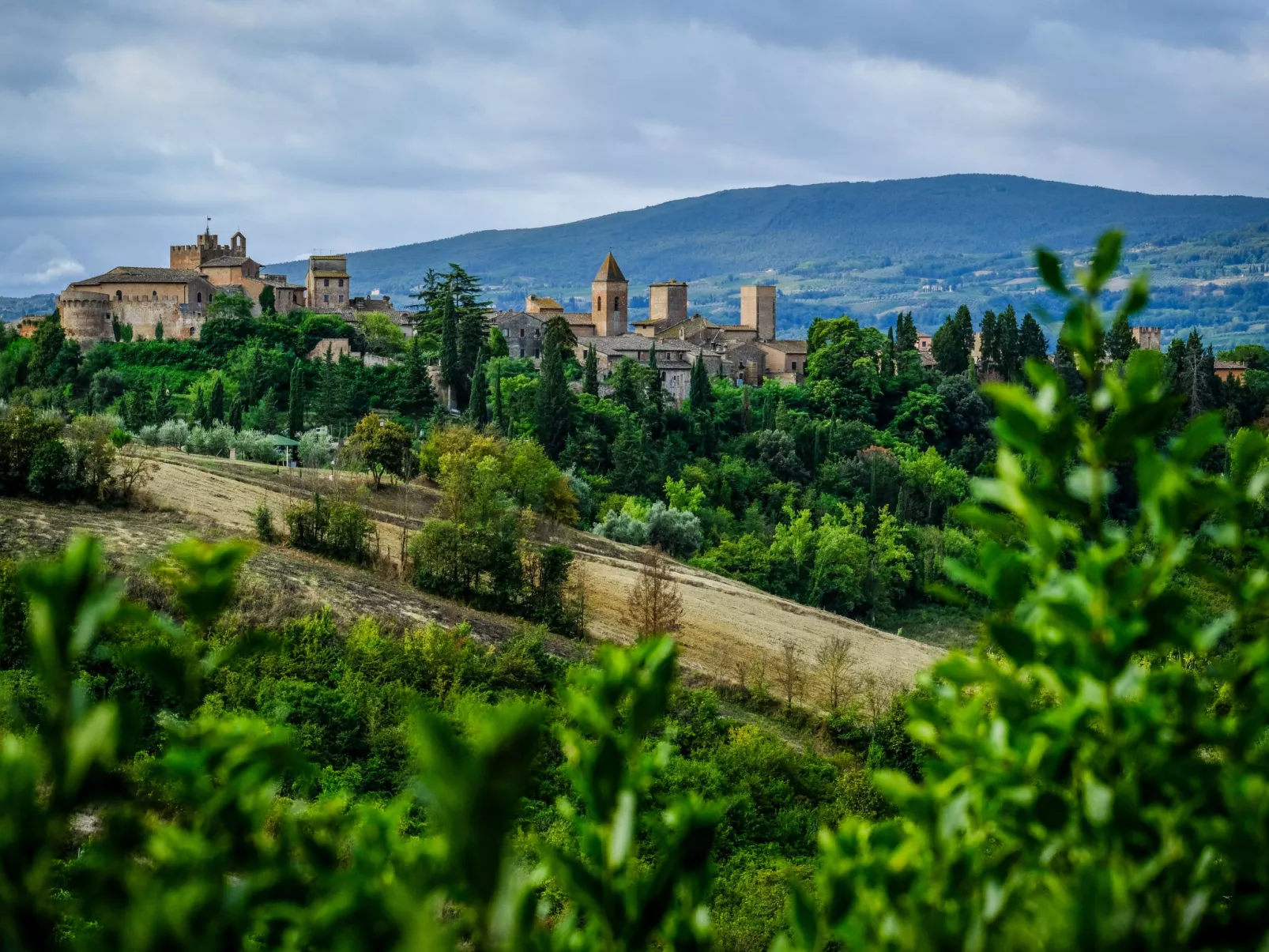 Podere La Torre-Buiten