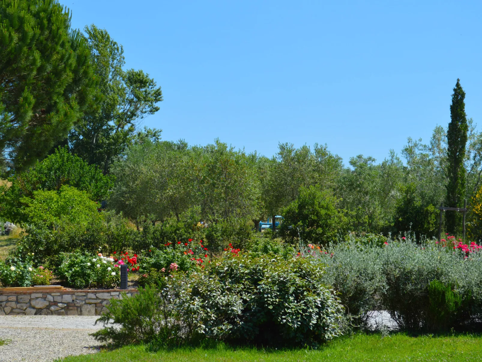 Crete Senesi landscape-Buiten