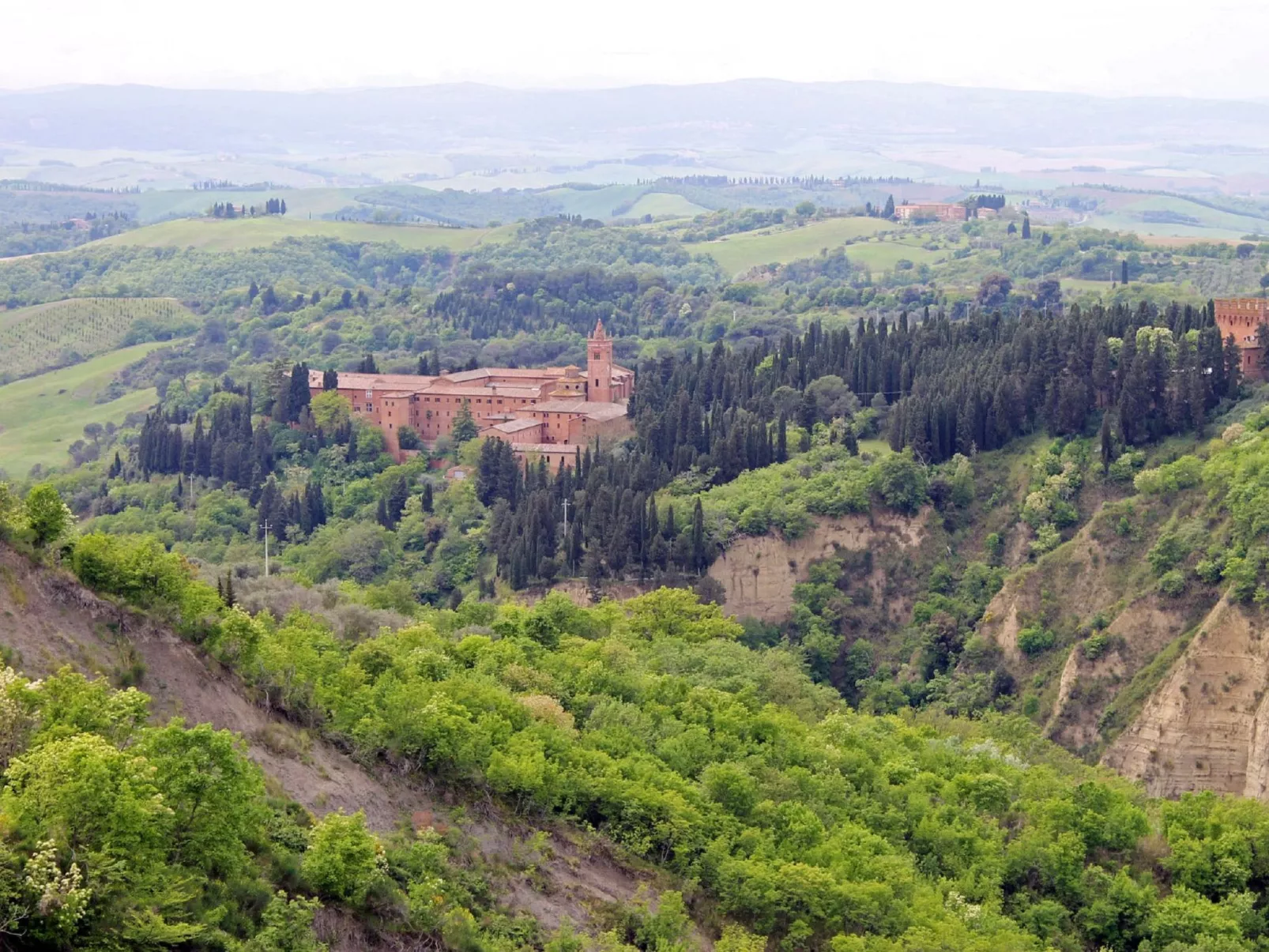 Crete Senesi landscape-Omgeving