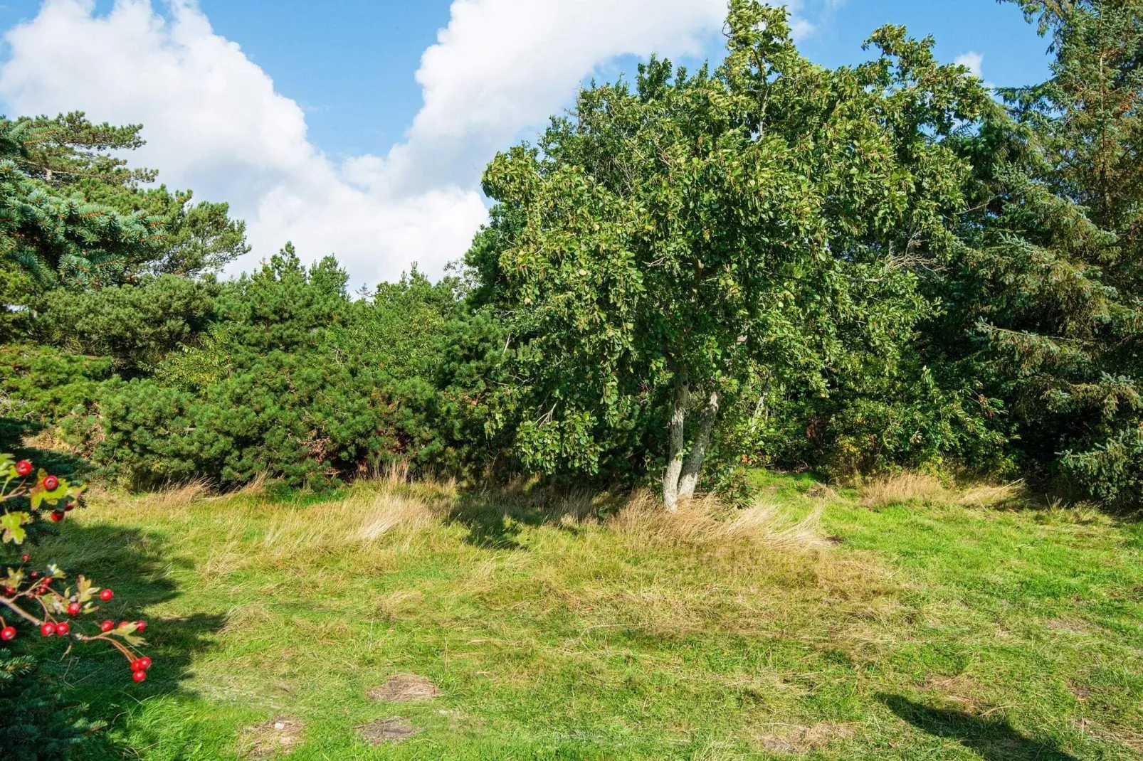 9 persoons vakantie huis in Rømø