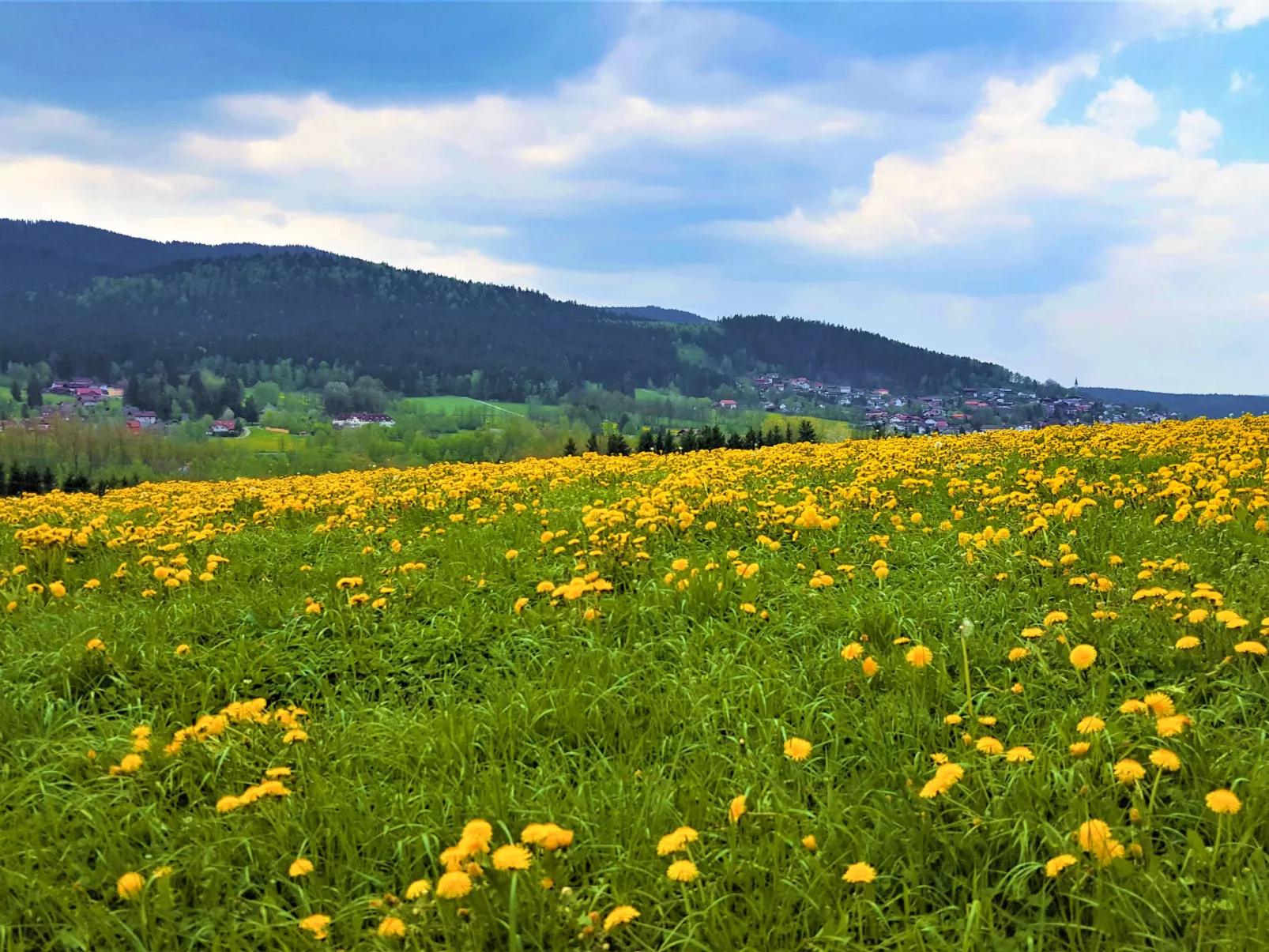 Am Hohen Bogen-Omgeving