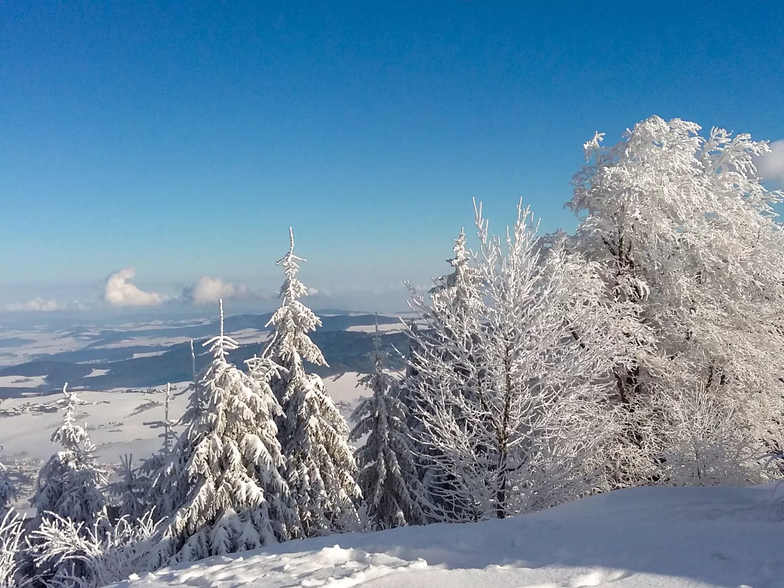 Am Hohen Bogen-Omgeving