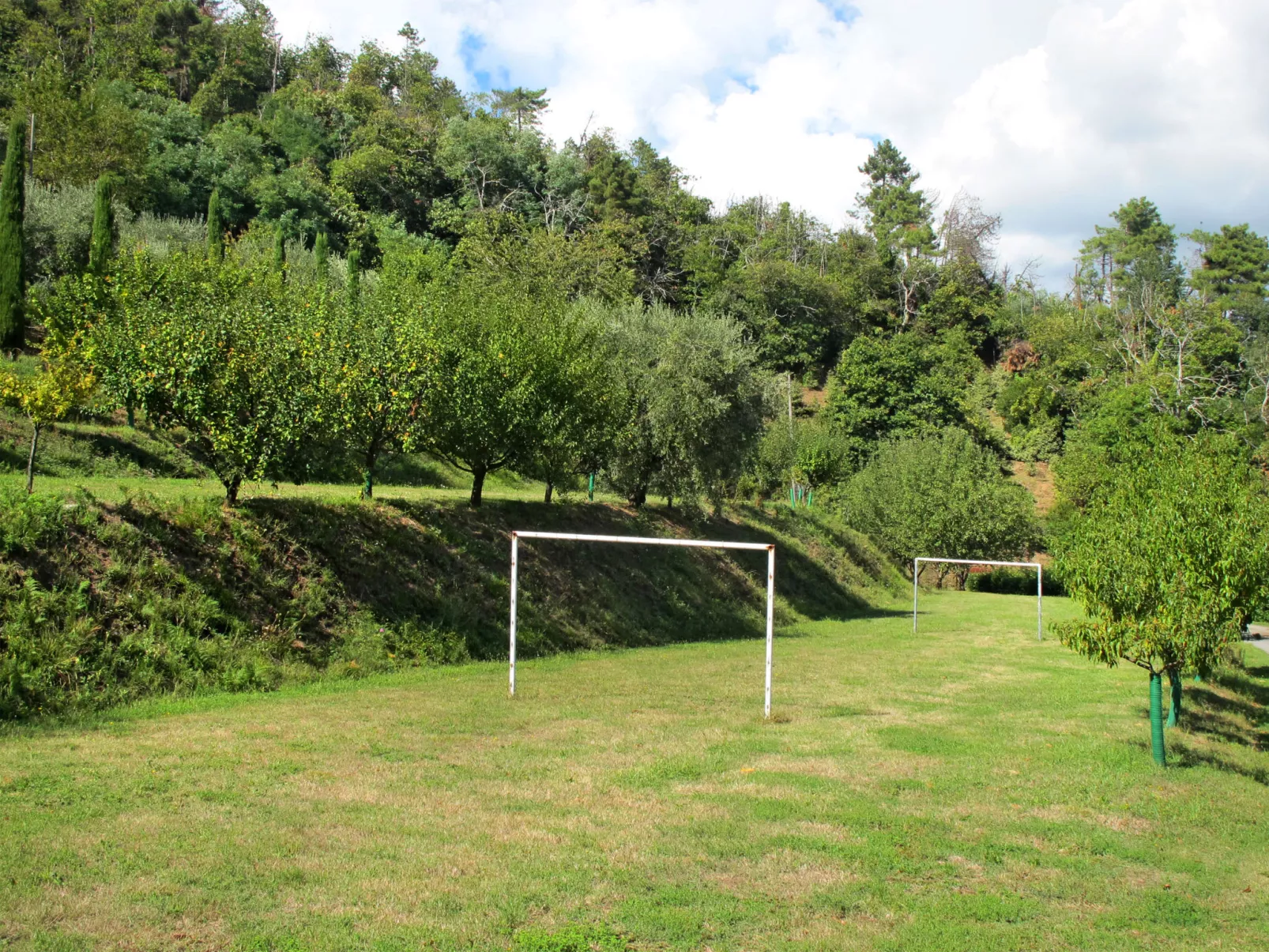 La Cupola: Papavero-Buiten