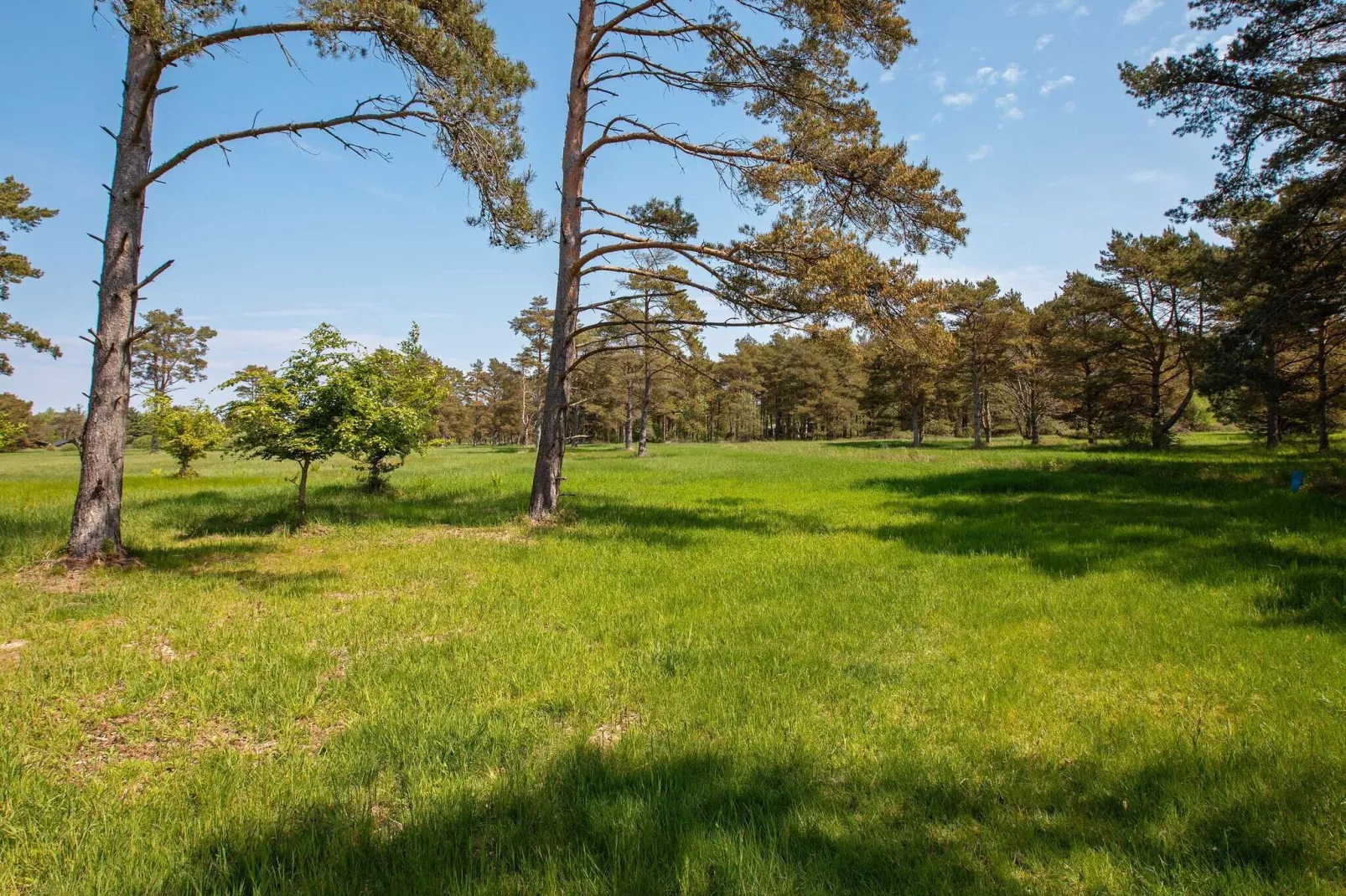 5 persoons vakantie huis in Ålbæk-Uitzicht