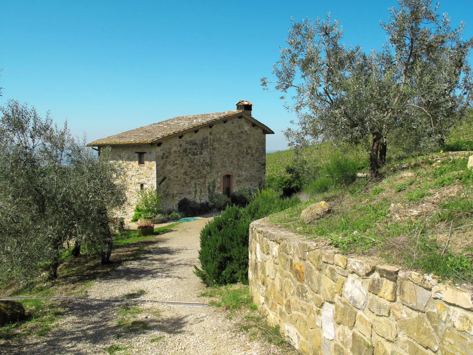 Cellole - Valluccia-Buiten