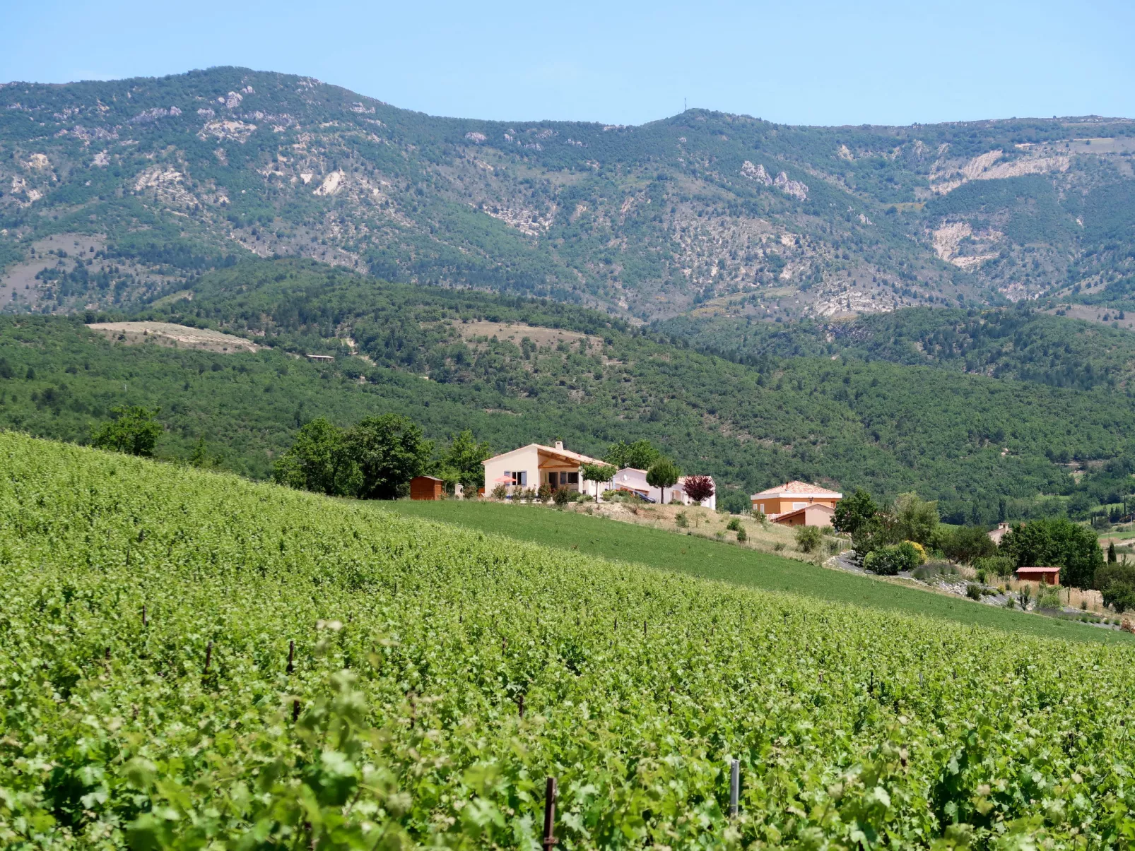 Les Hauts de Jallia-Buiten