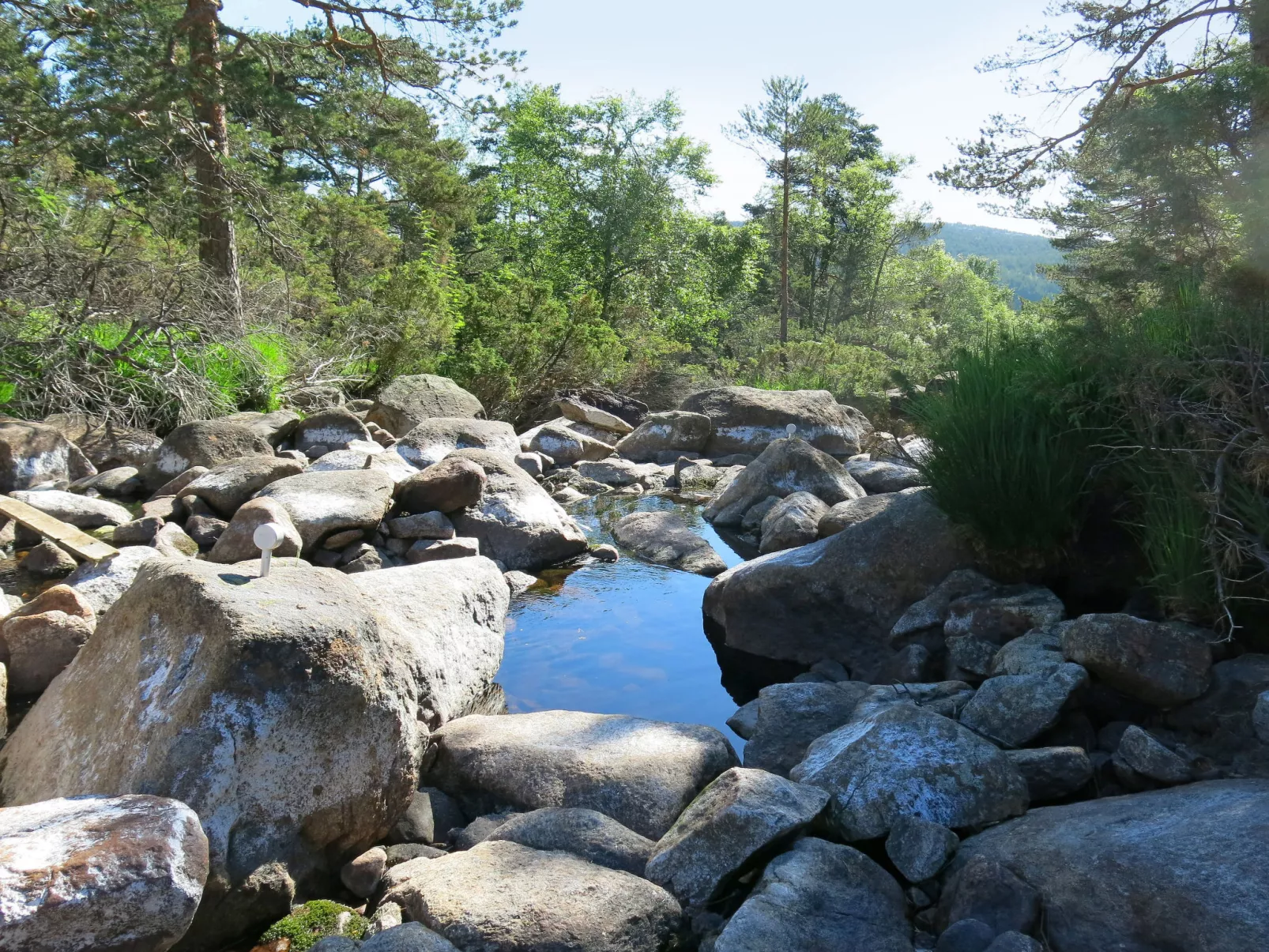 Knøttebu-Buiten