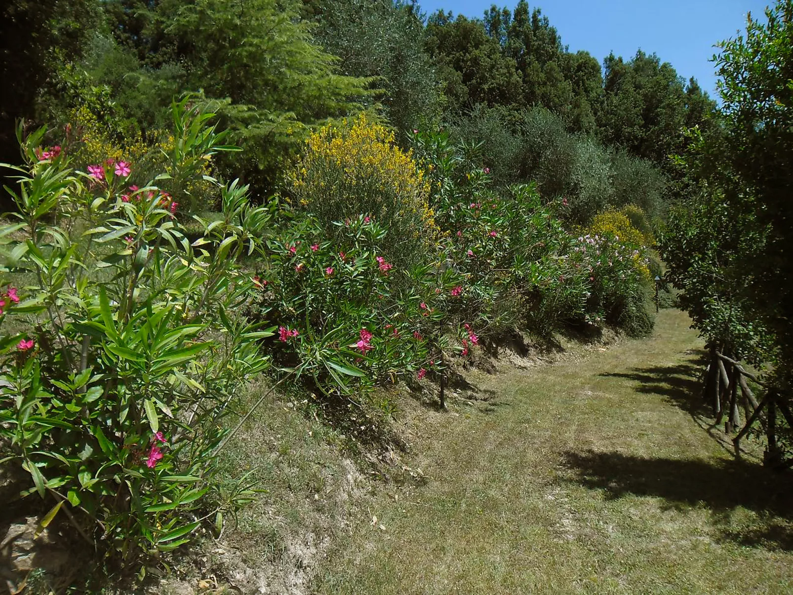 Il Casale-Buiten