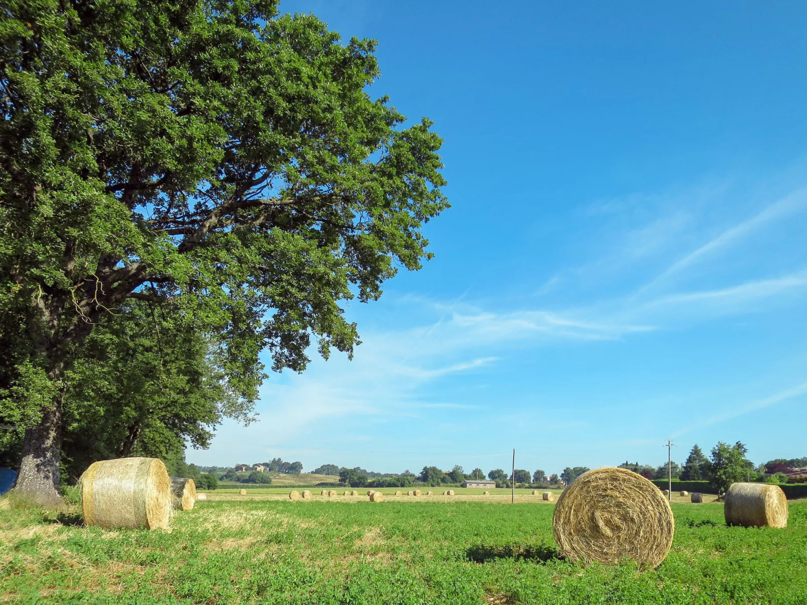  Boriano-Buiten