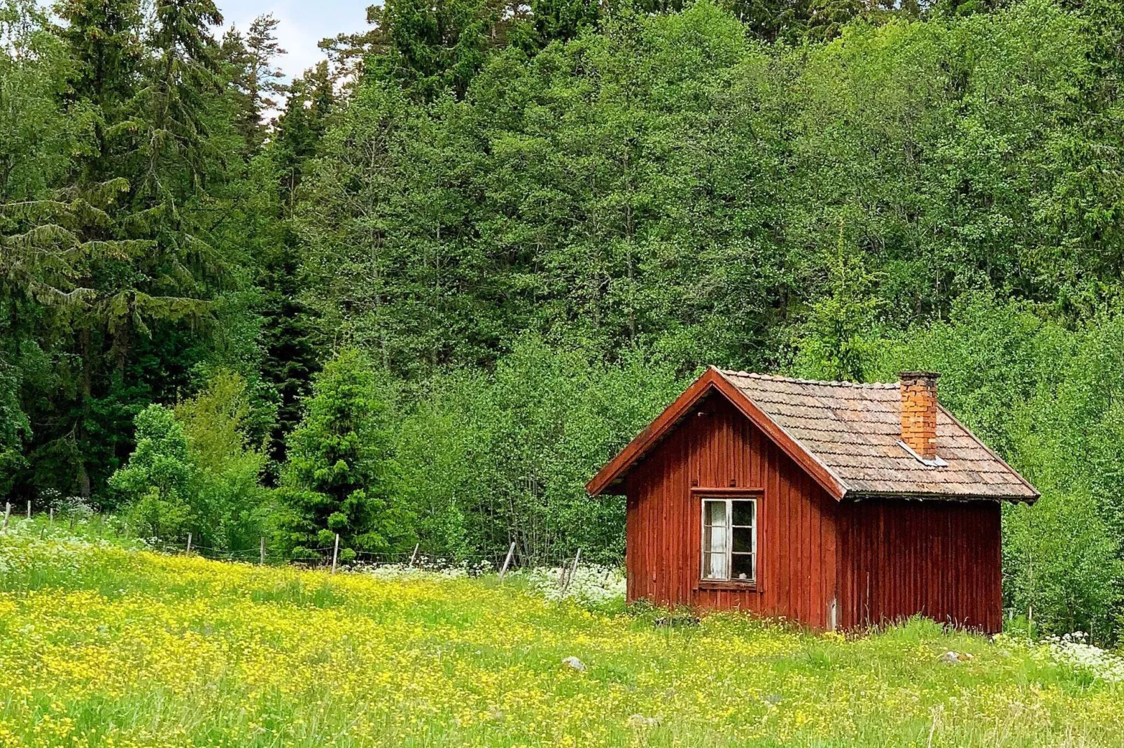 2 persoons vakantie huis in NÄSSJÖ-Buitenlucht