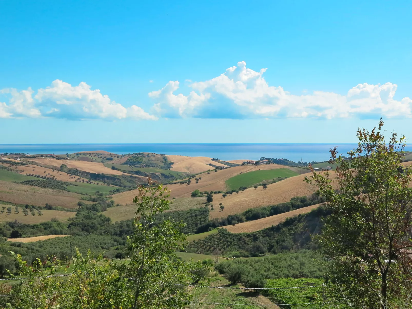 Rosburgo-Omgeving