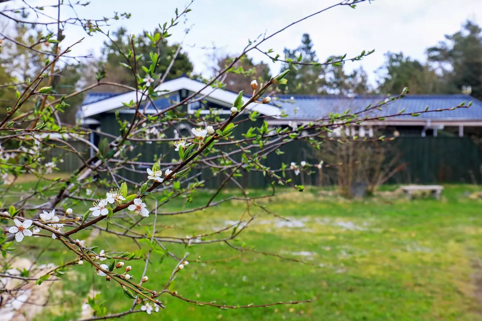 6 persoons vakantie huis in Jerup-Uitzicht