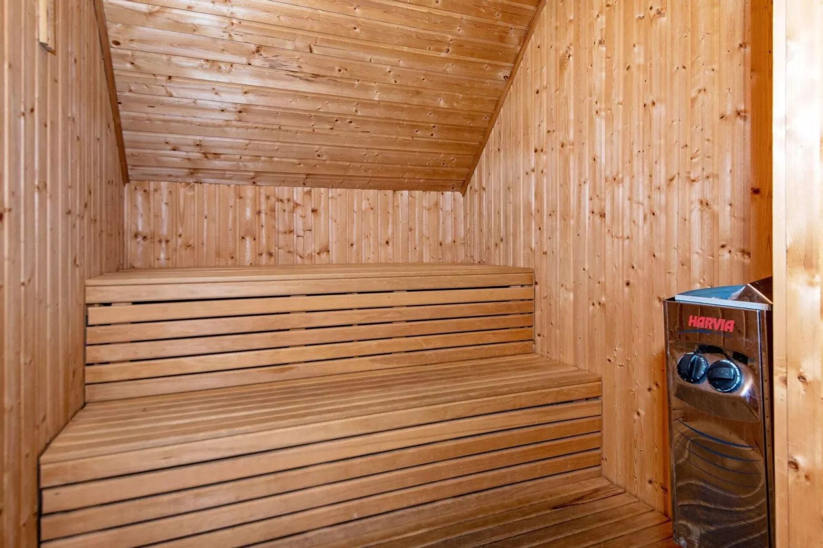 10 persoons vakantie huis in Ringkøbing-Sauna