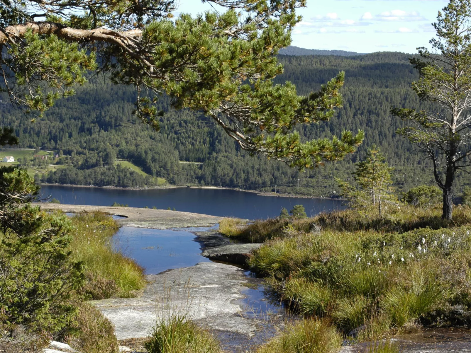 Bakketoppen-Buiten