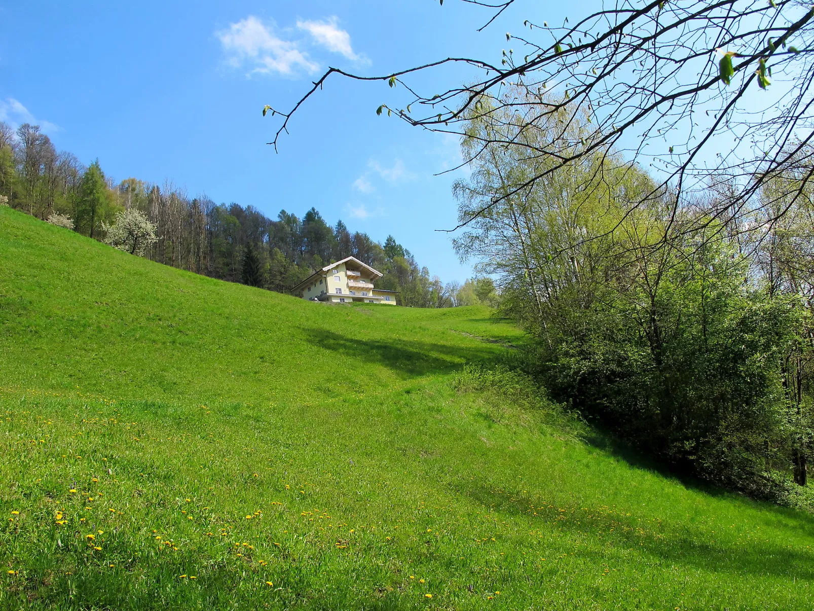 Grün-Buiten