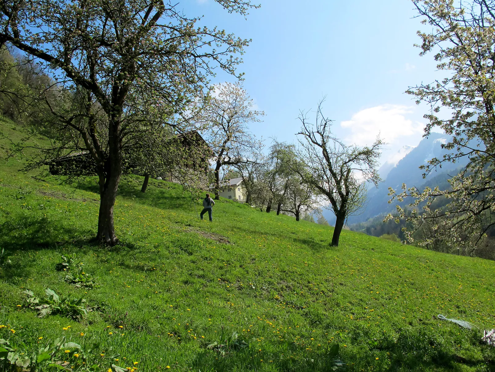 Grün-Buiten