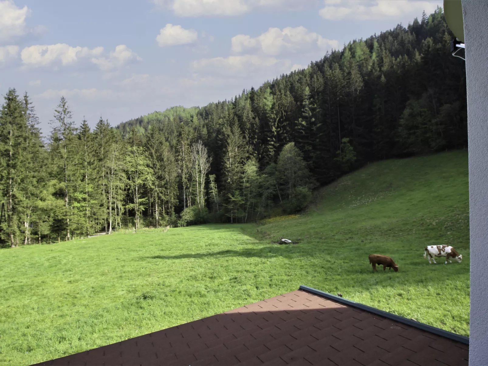 Krechen Alm-Buiten