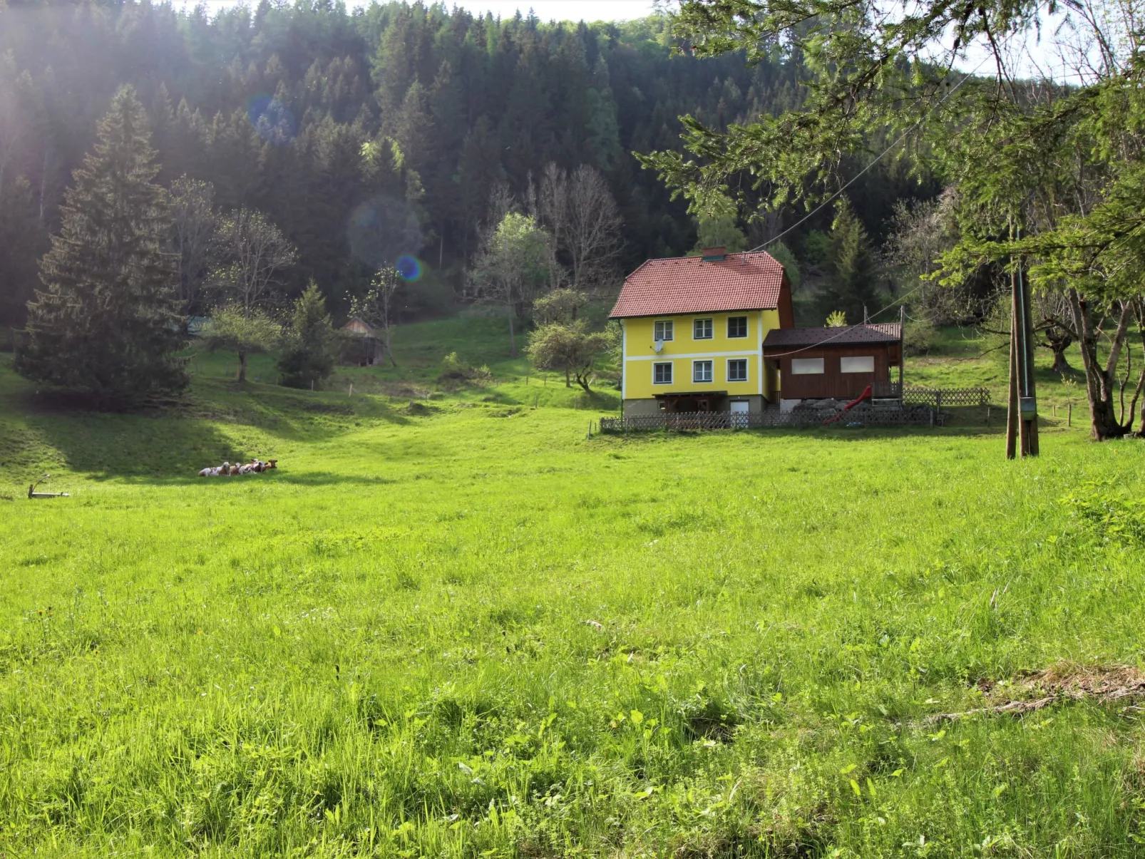 Krechen Alm-Buiten