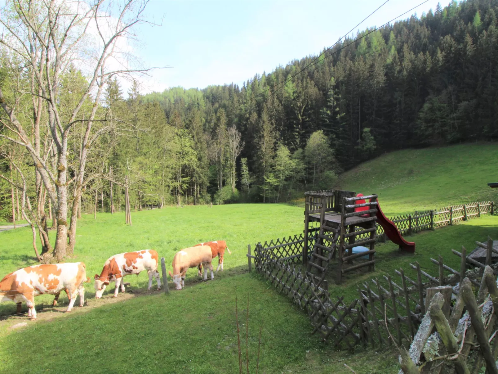 Krechen Alm-Buiten