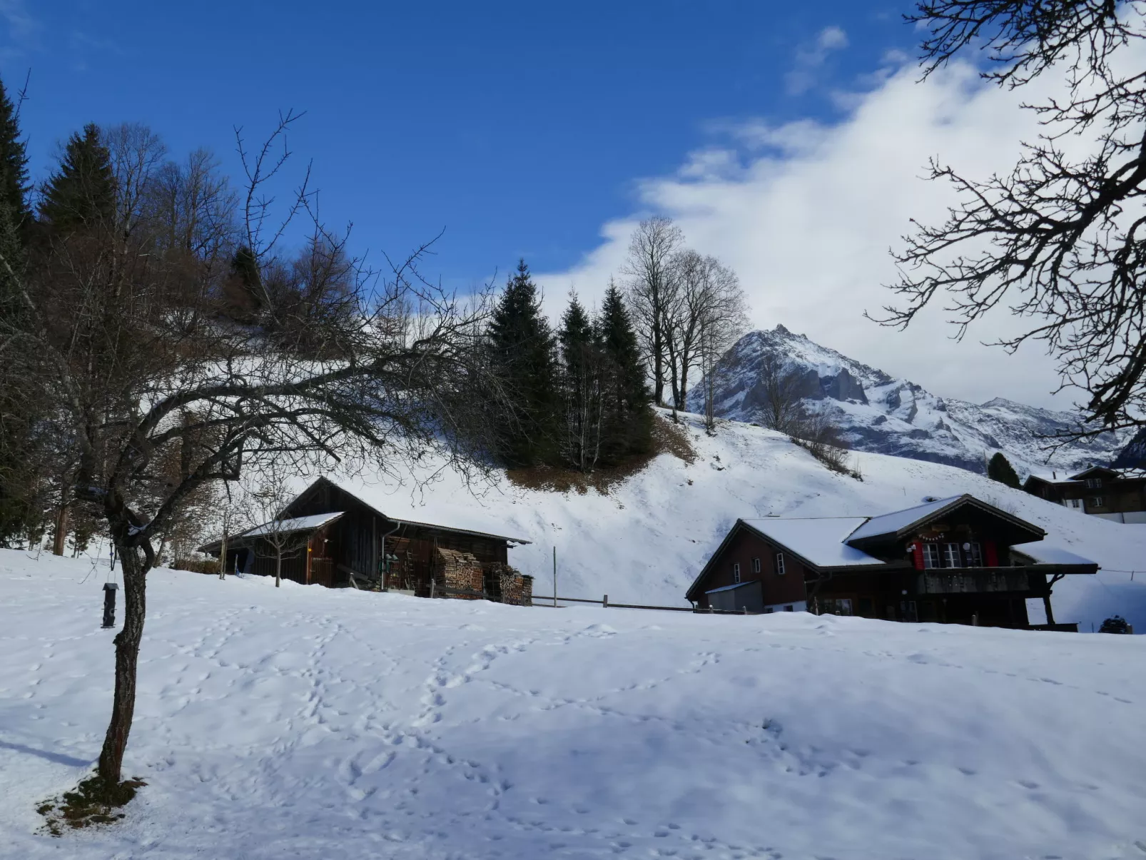 Chalet Schwendihus-Buiten