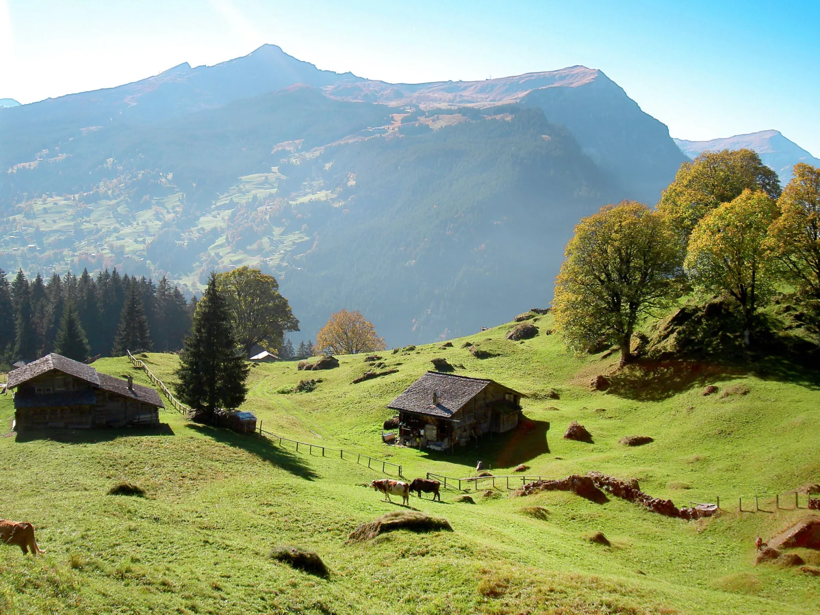 Chalet Schwendihus-Omgeving