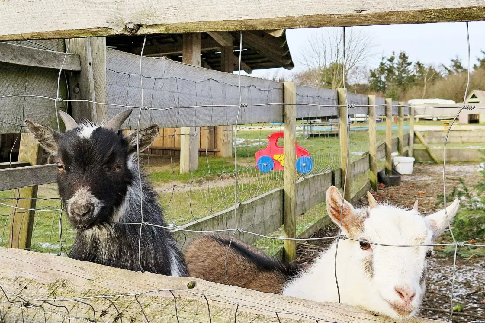 6 persoons vakantie huis in Struer-Uitzicht