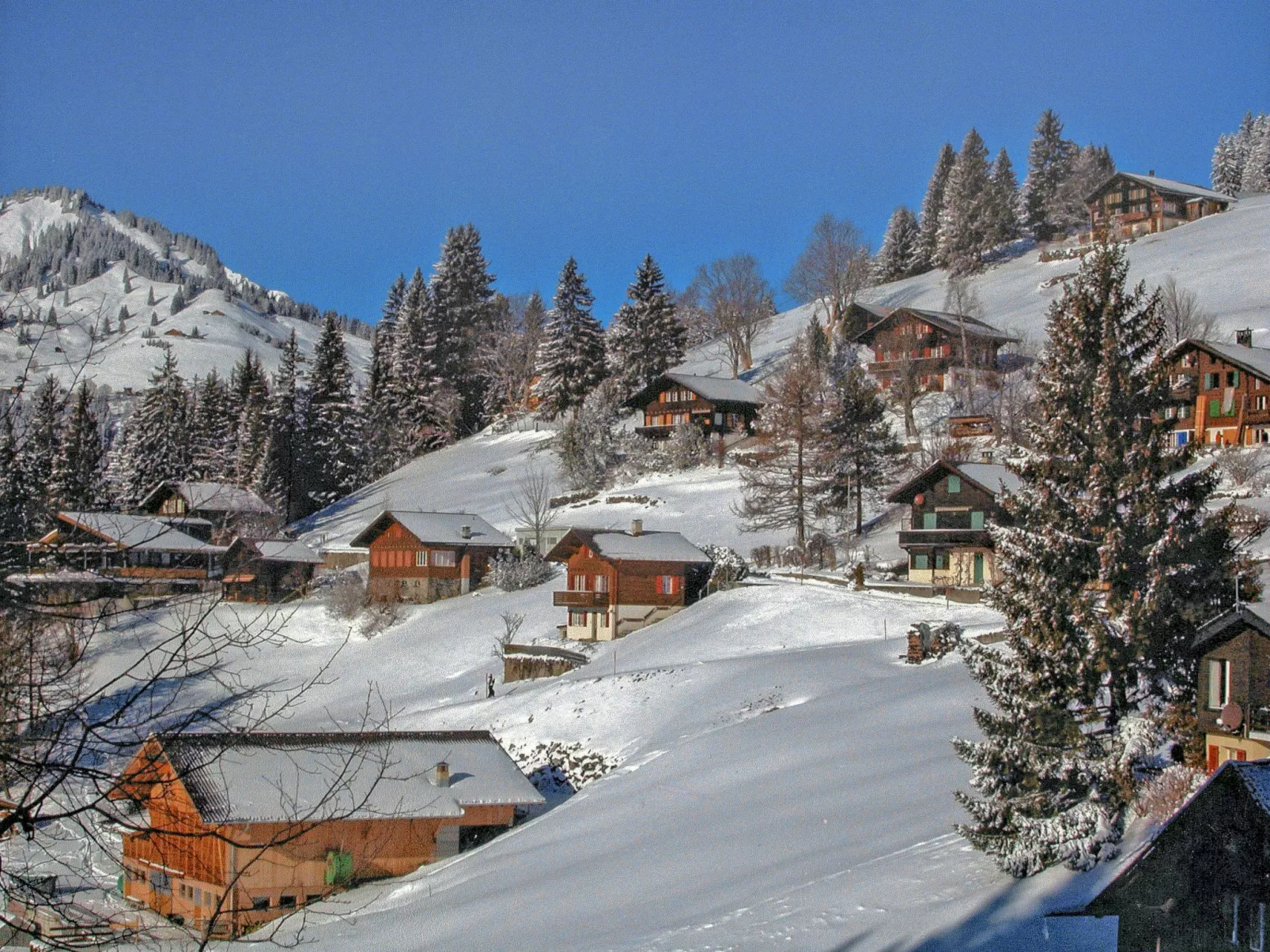 Jungfrau a d Ledi-Buiten