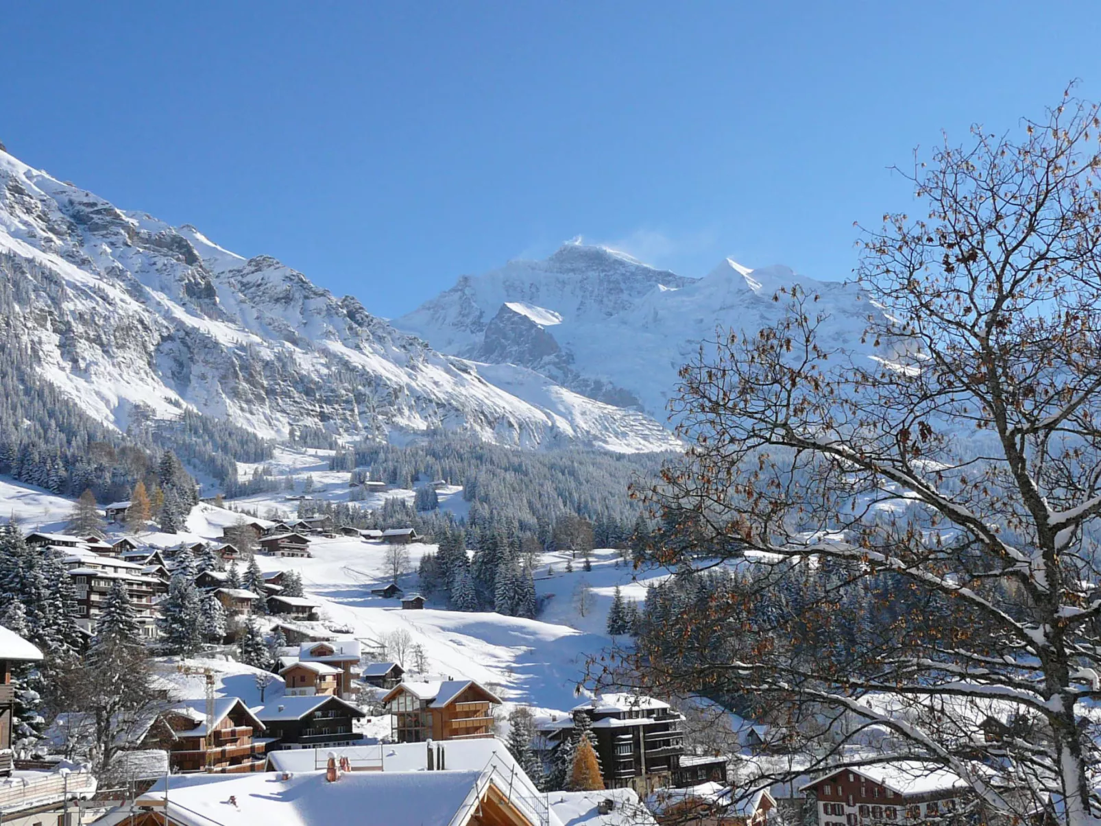 Jungfrau a d Ledi-Omgeving