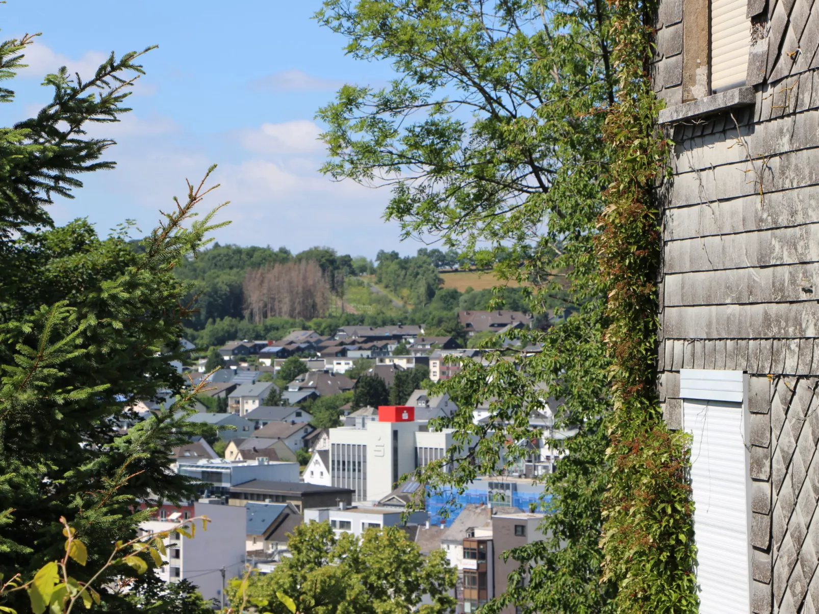 Tiny Haus Westerwald 16 Blue-Omgeving