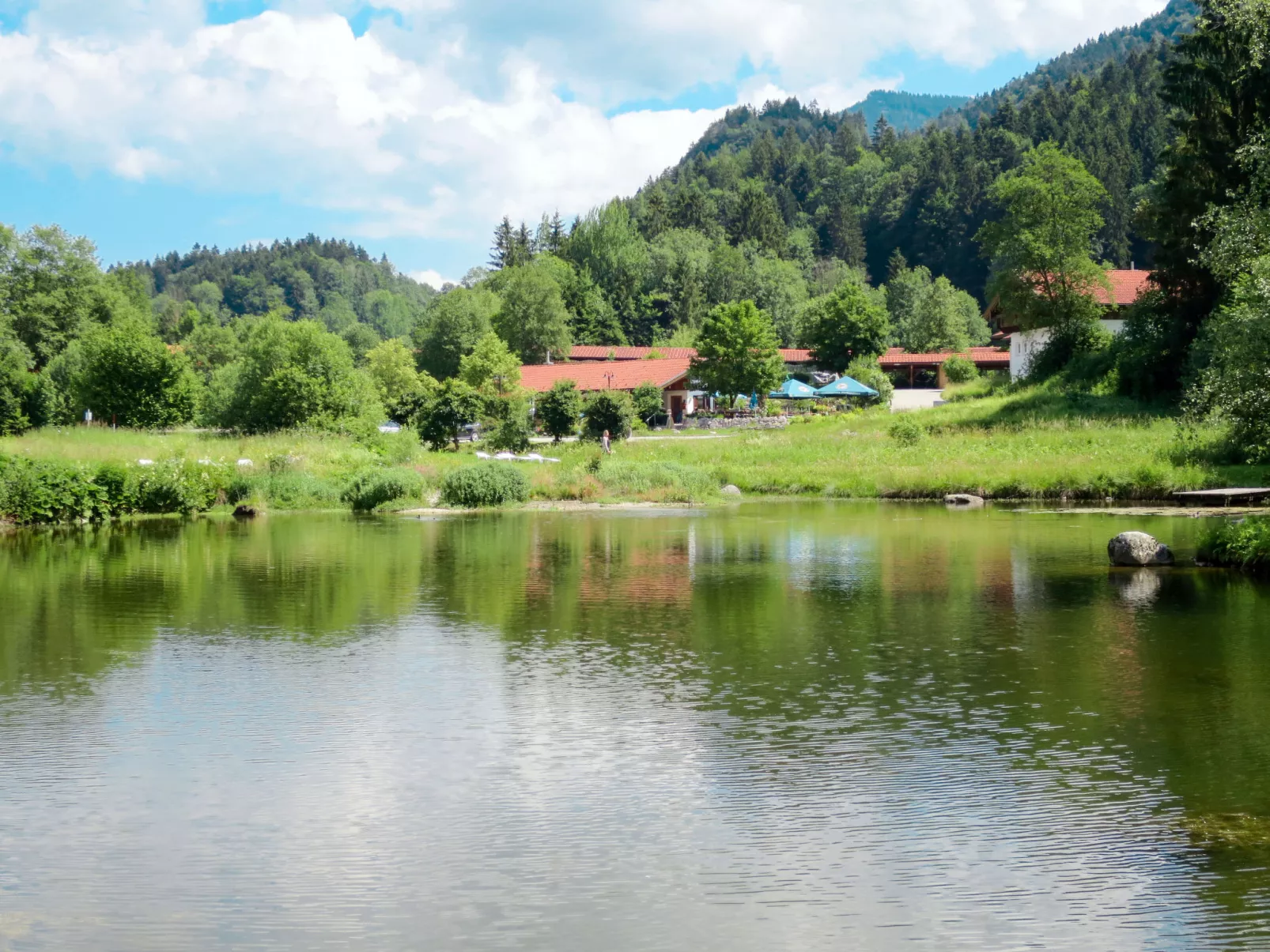 Chalet Walchsee-Buiten