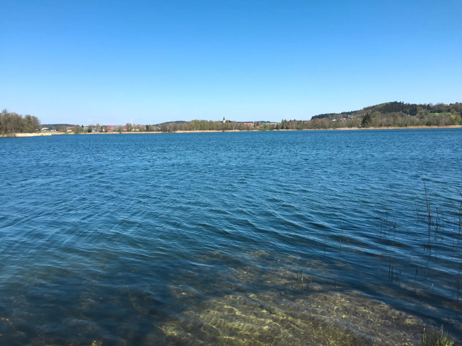 Alpenblick-Omgeving