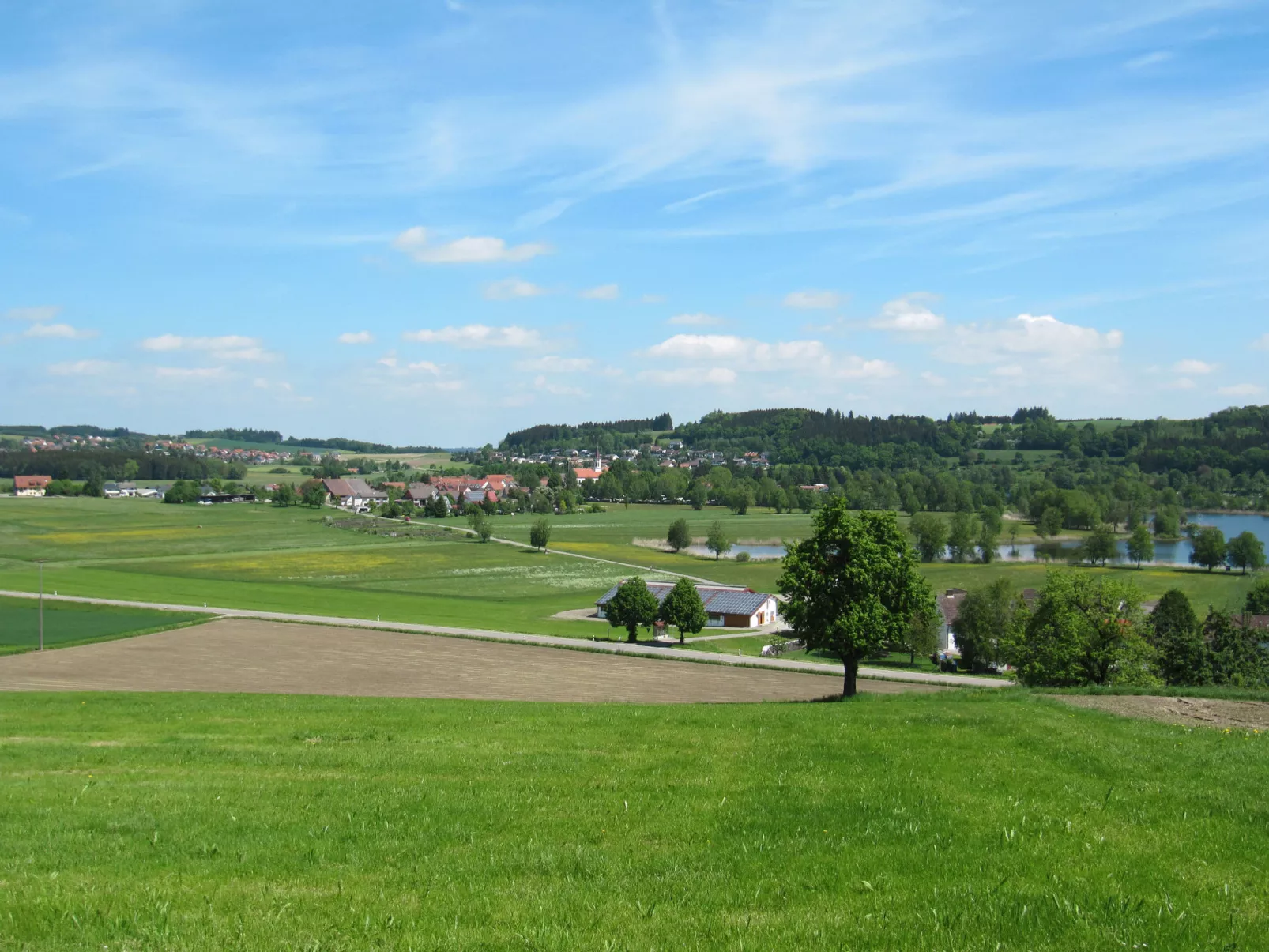 Alpenblick-Omgeving