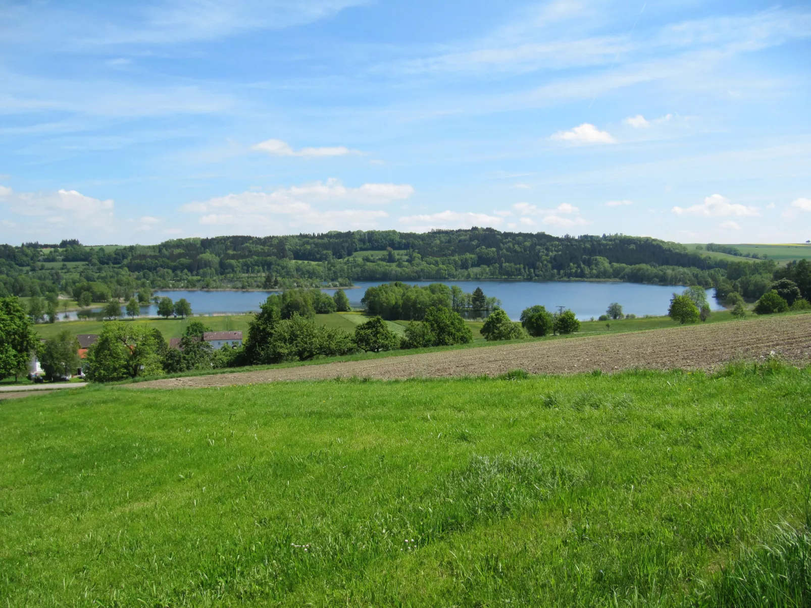 Alpenblick-Omgeving