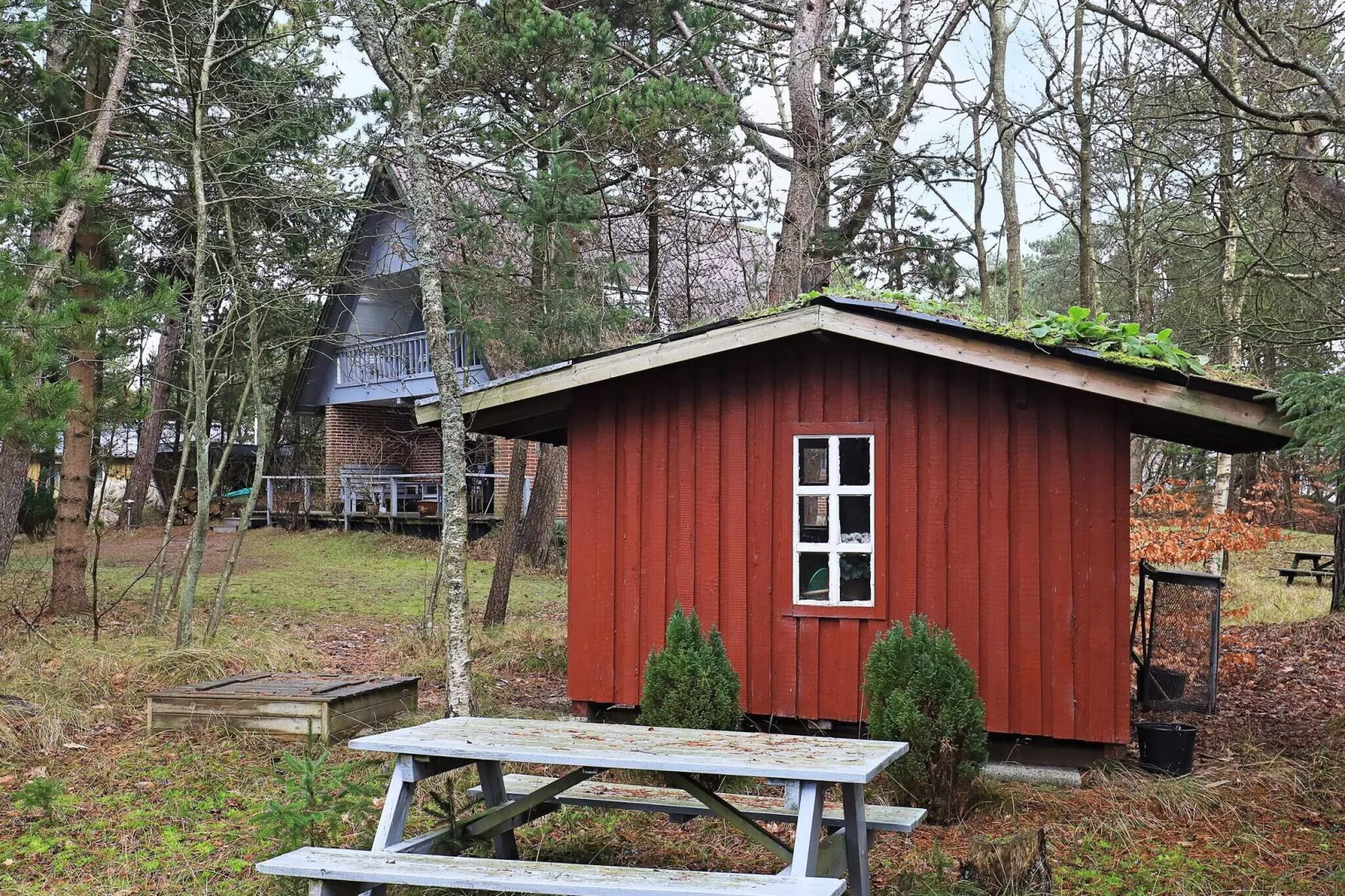 6 persoons vakantie huis in Blåvand-Uitzicht