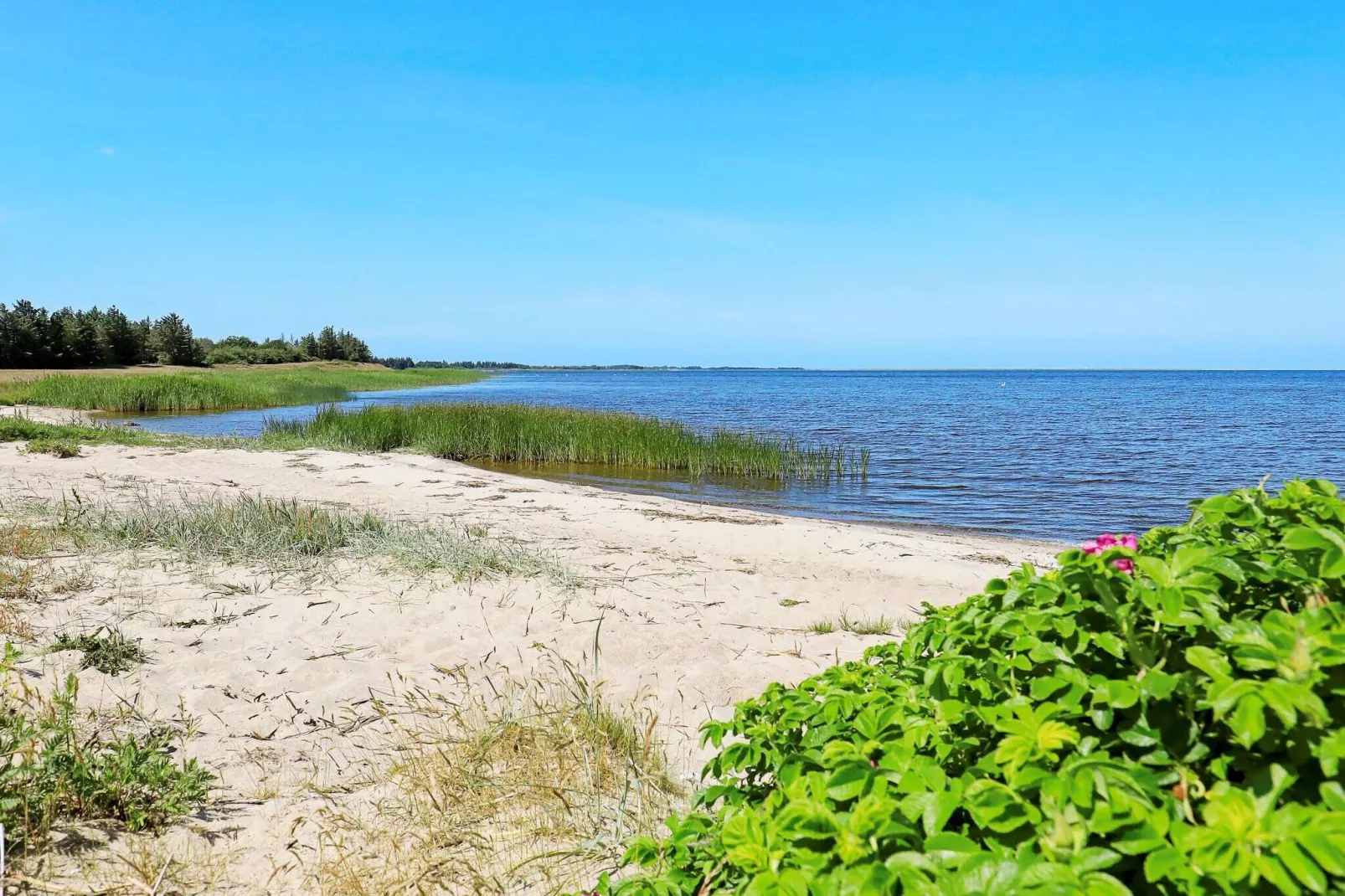 20 persoons vakantie huis in Ulfborg-Waterzicht