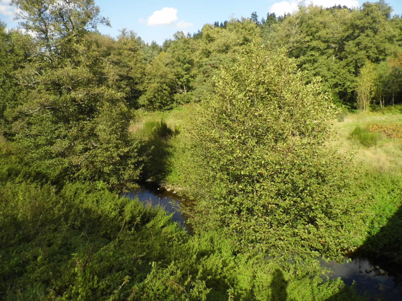 Le Haut d'Ancette-Buiten