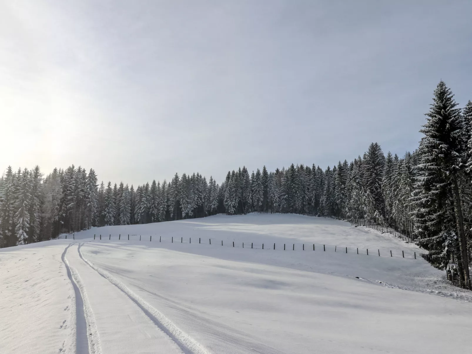 Schönhart-Buiten