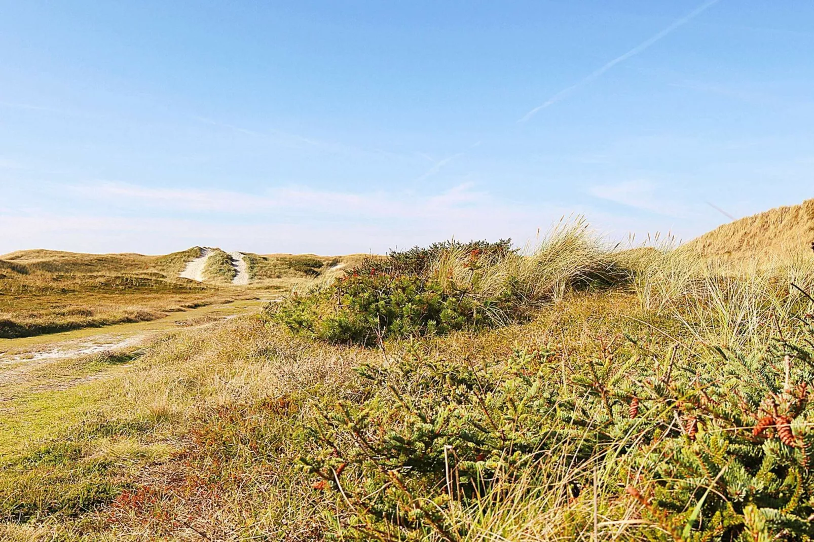 Ruim vakantiehuis in Ringkøbing met terras-Niet-getagd