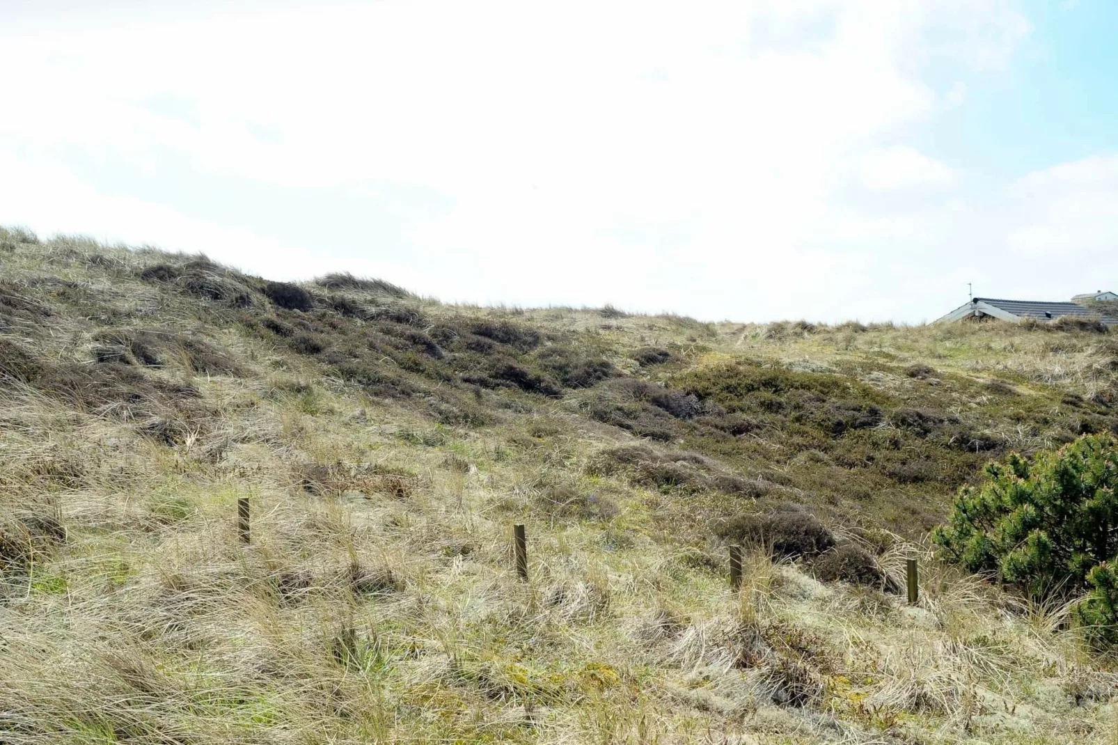 Ruim vakantiehuis in Ringkøbing met terras-Uitzicht