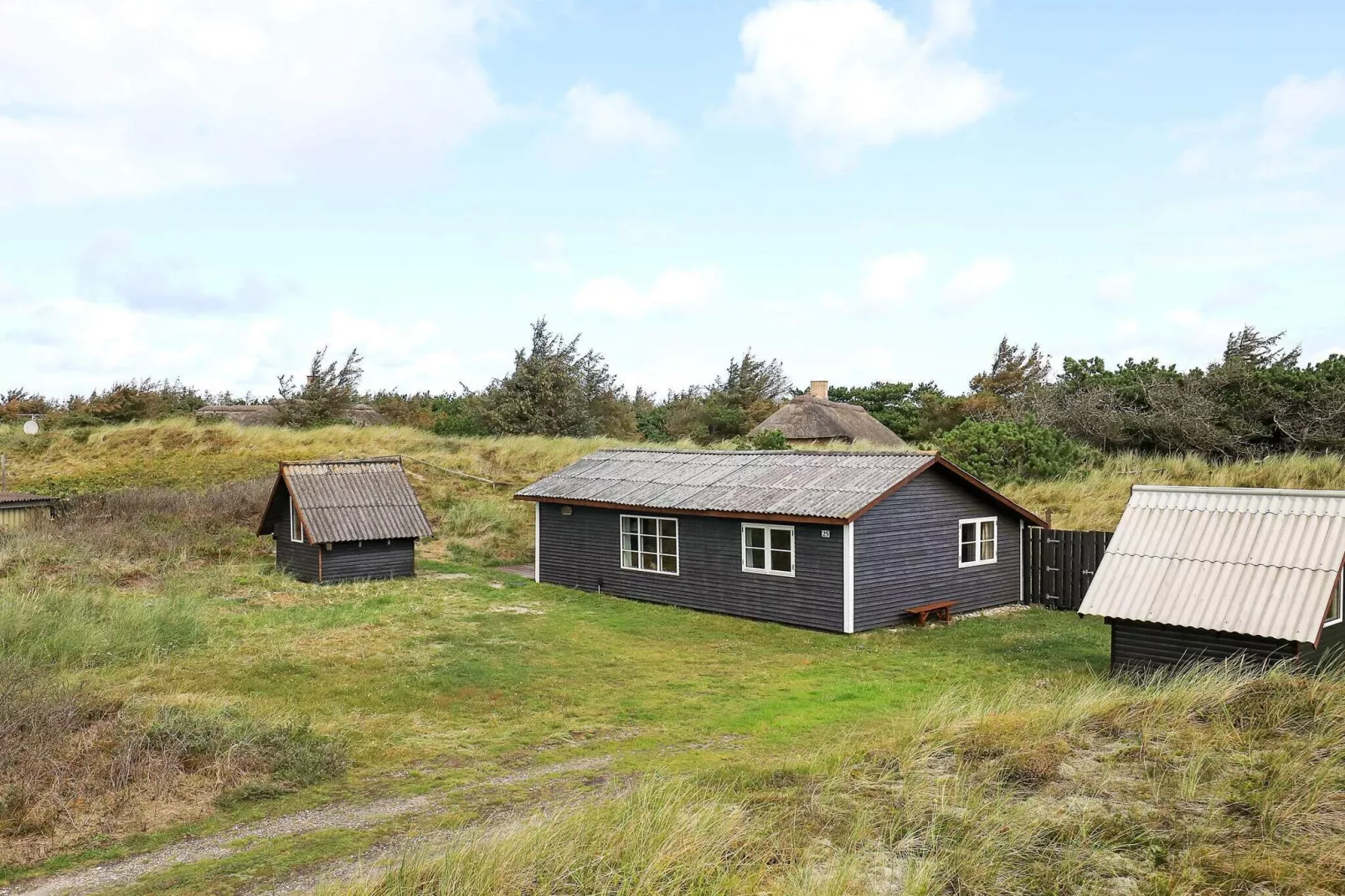 Ruim vakantiehuis in Ringkøbing met terras-Uitzicht