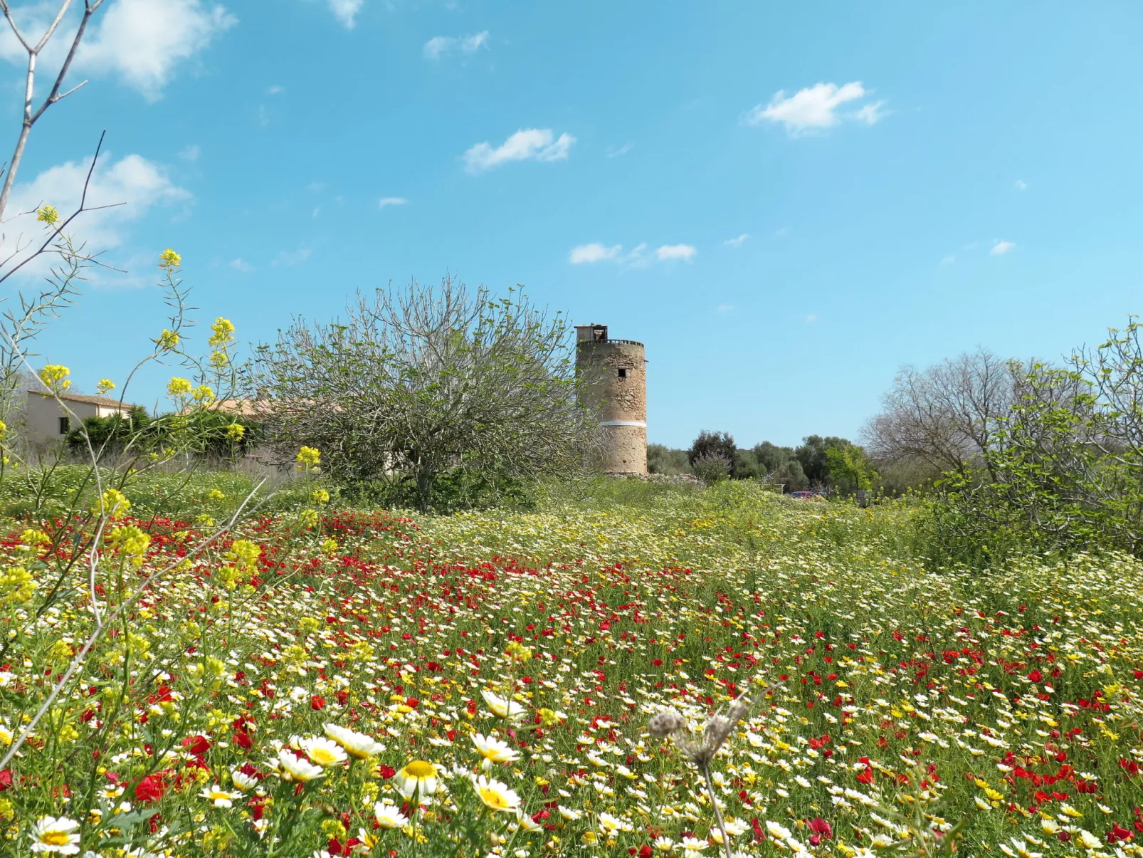 Jardines-Omgeving