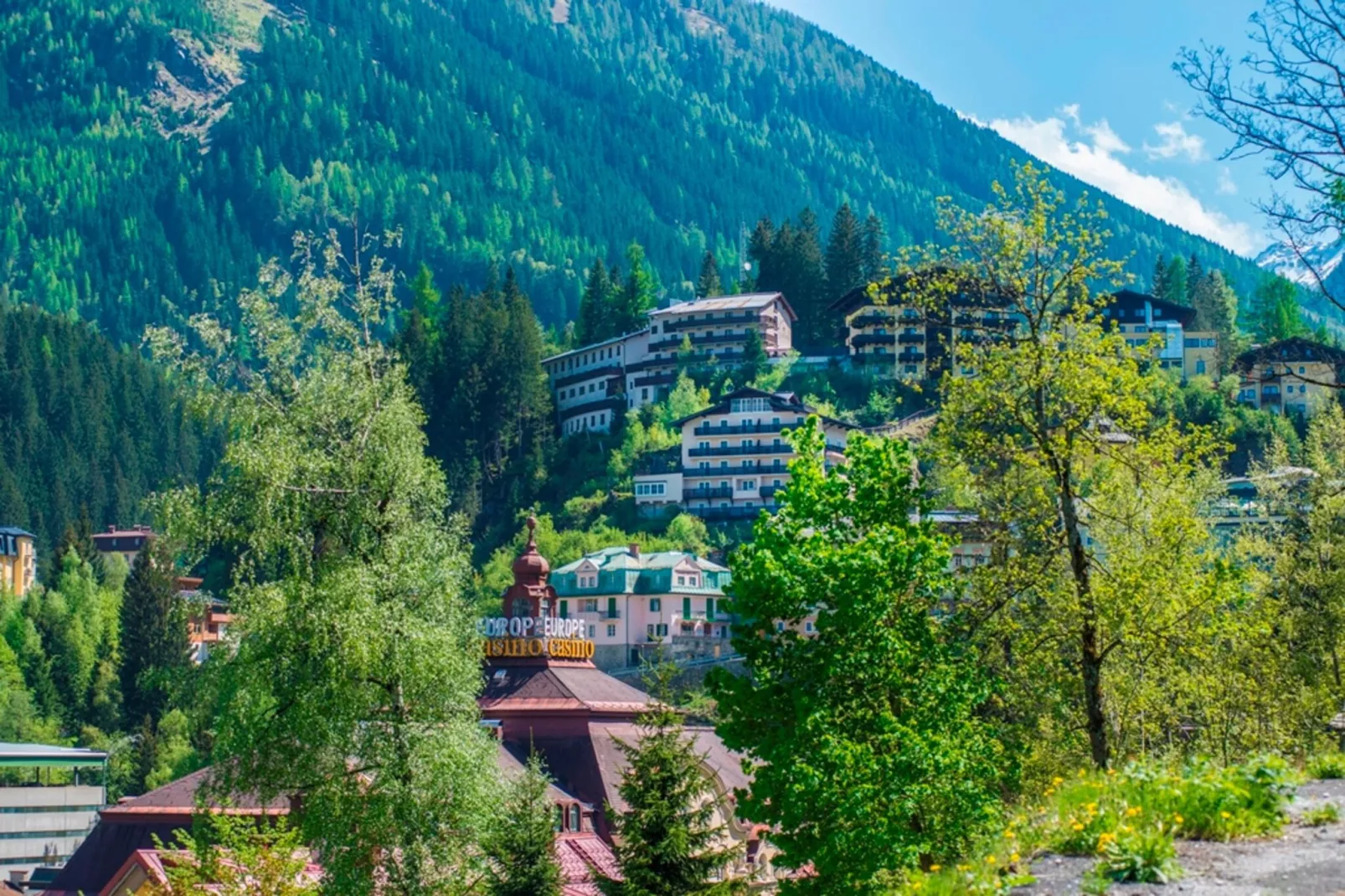 A2S Alpenhof 01-Gebieden zomer 20km