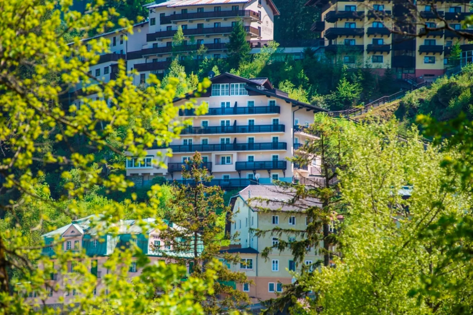 A3S Alpenhof-Gebieden zomer 1km