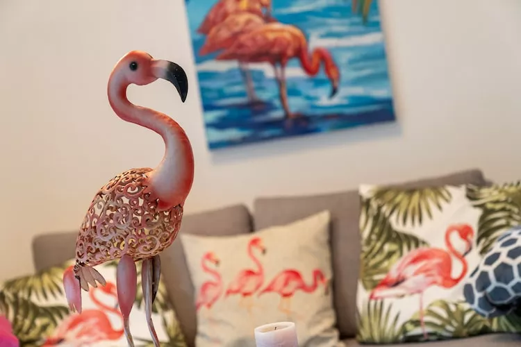 Ferienwohnung Flamingo-Sfeer